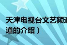 天津电视台文艺频道（关于天津电视台文艺频道的介绍）