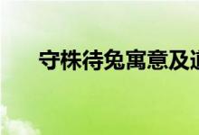 守株待兔寓意及道理（守株待兔寓意）