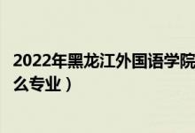 2022年黑龙江外国语学院招生计划及招生人数（各省都招什么专业）