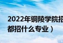 2022年铜陵学院招生计划及招生人数（各省都招什么专业）