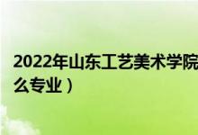 2022年山东工艺美术学院招生计划及招生人数（各省都招什么专业）