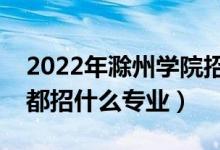 2022年滁州学院招生计划及招生人数（各省都招什么专业）