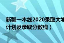 新疆一本线2020录取大学（2022年双一流大学在新疆招生计划及录取分数线）