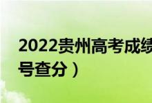 2022贵州高考成绩查询时间是什么时候（几号查分）