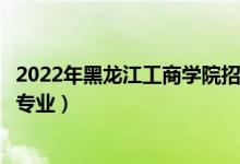 2022年黑龙江工商学院招生计划及招生人数（各省都招什么专业）