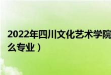 2022年四川文化艺术学院招生计划及招生人数（各省都招什么专业）