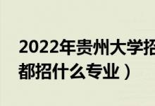 2022年贵州大学招生计划及招生人数（各省都招什么专业）