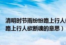 清明时节雨纷纷路上行人欲断魂的意思是（清明时节雨纷纷路上行人欲断魂的意思）