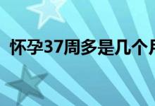 怀孕37周多是几个月（怀孕37周是几个月）