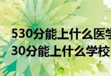 530分能上什么医学院（2022生物医学工程530分能上什么学校）