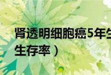 肾透明细胞癌5年生存率（肾透明细胞癌5年生存率）