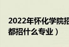 2022年怀化学院招生计划及招生人数（各省都招什么专业）