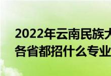 2022年云南民族大学招生计划及招生人数（各省都招什么专业）