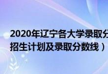 2020年辽宁各大学录取分数线（2022年双一流大学在辽宁招生计划及录取分数线）