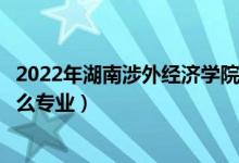 2022年湖南涉外经济学院招生计划及招生人数（各省都招什么专业）