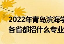 2022年青岛滨海学院招生计划及招生人数（各省都招什么专业）