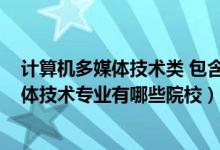 计算机多媒体技术类 包含专业（2022全国开设计算机多媒体技术专业有哪些院校）