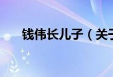 钱伟长儿子（关于钱伟长儿子的介绍）