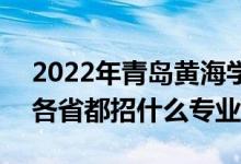 2022年青岛黄海学院招生计划及招生人数（各省都招什么专业）