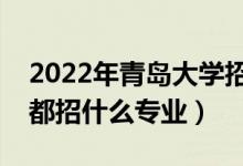 2022年青岛大学招生计划及招生人数（各省都招什么专业）