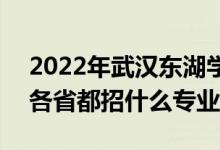 2022年武汉东湖学院招生计划及招生人数（各省都招什么专业）