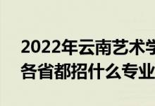 2022年云南艺术学院招生计划及招生人数（各省都招什么专业）