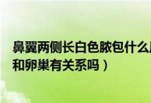 鼻翼两侧长白色脓包什么原因引起（鼻翼两侧长白色的脓痘和卵巢有关系吗）