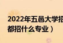 2022年五邑大学招生计划及招生人数（各省都招什么专业）