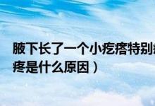 腋下长了一个小疙瘩特别疼怎么回事（腋下长了个小疙瘩很疼是什么原因）