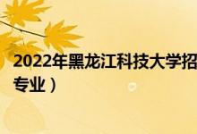 2022年黑龙江科技大学招生计划及招生人数（各省都招什么专业）