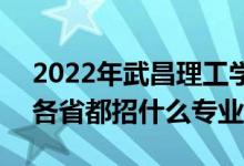 2022年武昌理工学院招生计划及招生人数（各省都招什么专业）