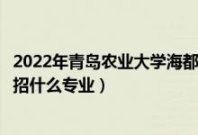 2022年青岛农业大学海都学院招生计划及招生人数（各省都招什么专业）