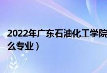 2022年广东石油化工学院招生计划及招生人数（各省都招什么专业）