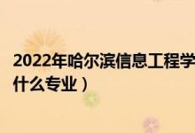 2022年哈尔滨信息工程学院招生计划及招生人数（各省都招什么专业）