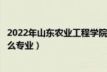 2022年山东农业工程学院招生计划及招生人数（各省都招什么专业）