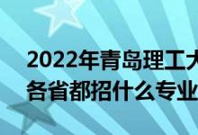 2022年青岛理工大学招生计划及招生人数（各省都招什么专业）