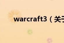 warcraft3（关于warcraft3的介绍）