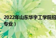 2022年山东华宇工学院招生计划及招生人数（各省都招什么专业）