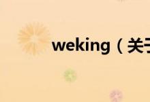 weking（关于weking的介绍）