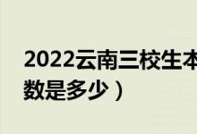 2022云南三校生本科录取分数线（本科批分数是多少）