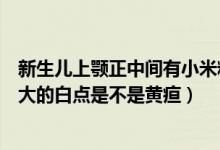 新生儿上颚正中间有小米粒大的白点（新生儿上颚有小米粒大的白点是不是黄疸）