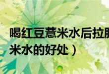 喝红豆薏米水后拉肚子是在排湿吗（喝红豆薏米水的好处）