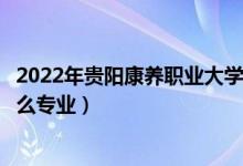 2022年贵阳康养职业大学招生计划及招生人数（各省都招什么专业）