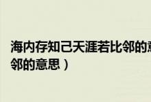 海内存知己天涯若比邻的意思是什么（海内存知己 天涯若比邻的意思）