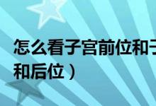 怎么看子宫前位和子宫后位（怎么看子宫前位和后位）