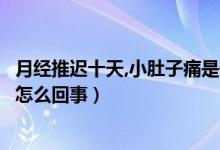 月经推迟十天,小肚子痛是什么原因（月经推迟十天小腹疼是怎么回事）