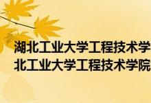 湖北工业大学工程技术学院2021预估分数线年（2021年湖北工业大学工程技术学院各省投档分数线是多少）