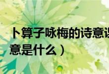 卜算子咏梅的诗意课文讲解（卜算子咏梅的诗意是什么）