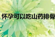 怀孕可以吃山药排骨吗（怀孕可以吃山竹吗）