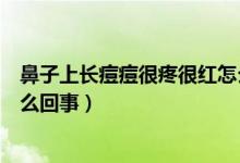 鼻子上长痘痘很疼很红怎么回事（鼻子上长痘痘很疼很红怎么回事）